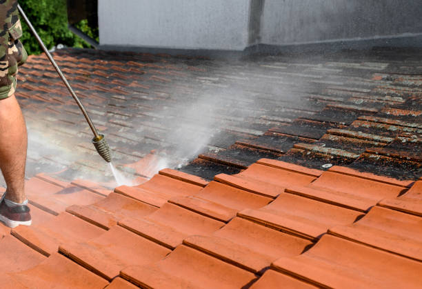 Best Best Pressure Washing Companies  in Thornton, IL