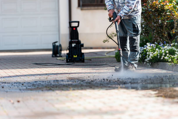 Best Best Pressure Washing Companies  in Thornton, IL
